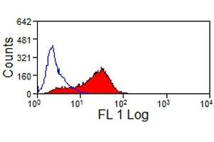 Flow Cytometry (FACS) image for anti-Junctional Adhesion Molecule 3 (JAM3) antibody (ABIN2475176) (JAM3 antibody)