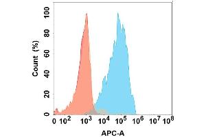 Flow cytometry analysis with Anti-IL5 on Expi293 cells transfected with human IL5 (Blue histogram) or Expi293 transfected with irrelevant protein (Red histogram). (IL-5 antibody)