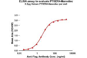 Elisa plates were pre-coated with Flag Tag PT-Nanodisc (0. (PTGER4 Protein)
