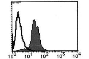 Flow Cytometry (FACS) image for anti-Cyclin D1 (CCND1) antibody (ABIN1106871)