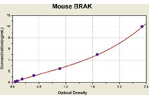 Diagramm of the ELISA kit to detect Mouse BRAKwith the optical density on the x-axis and the concentration on the y-axis. (CXCL14 ELISA Kit)