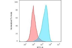 Flow Cytometric Analysis of paraformaldehyde-fixed Raji cells using CD45RB Rabbit Recombinant Monoclonal Antibody (PTPRC/2877R) followed by Goat anti-rabbitIgG-CF488 (Blue); Isotype Control (Red). (Recombinant CD45 antibody)