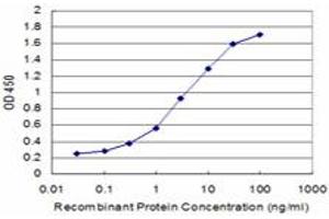 Detection limit for recombinant GST tagged KLF1 is approximately 0. (KLF1 antibody  (AA 183-237))