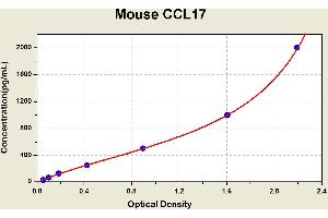 Diagramm of the ELISA kit to detect Mouse CCL17with the optical density on the x-axis and the concentration on the y-axis. (CCL17 ELISA Kit)