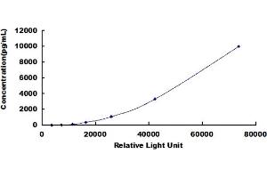 ELISA image for Myeloperoxidase (MPO) CLIA Kit (ABIN492080) (Myeloperoxidase CLIA Kit)