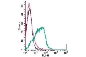 Cell surface detection of P2Y1 Receptor by direct flow cytometry in live intact human MEG-01 megakaryoblastic leukemia cells: (black line) Cells. (P2RY1 antibody  (Extracellular, Loop 2) (FITC))