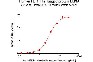 ELISA plate pre-coated by 2 μg/mL (100 μL/well) Human Protein, His Tag (ABIN7455456, ABIN7490833 and ABIN7490835) can bind Anti- Neutralizing antibody ABIN7478023 and ABIN7490992 in a linear range of 0. (FLT1 Protein (AA 27-756) (His tag))