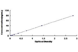 Typical Standard Curve (LGALS3BP ELISA Kit)