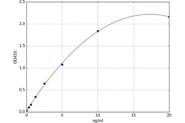 MAT2B ELISA Kit