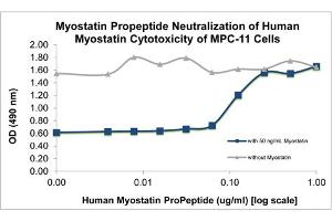 SDS-PAGE (SDS) image for Myostatin Propeptide protein (ABIN6700278)