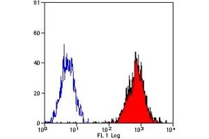 Staining of human peripheal blood lymphocytes from an HLA-B7 positive donor with mouse anti human HLA-B7 (ABIN118934). (HLA B7 antibody)