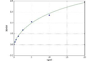 A typical standard curve (ube3a ELISA Kit)