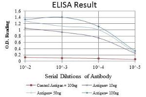 ELISA image for anti-Apoptosis-Inducing Factor, Mitochondrion-Associated, 1 (AIFM1) antibody (ABIN968950)