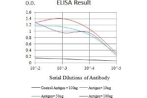 Black line: Control Antigen (100 ng),Purple line: Antigen (10 ng), Blue line: Antigen (50 ng), Red line:Antigen (100 ng) (Thrombomodulin antibody  (AA 297-505))