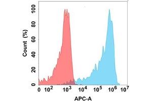 Flow cytometry analysis with Anti-A (DM186) on Expi293 cells transfected with human A (Blue histogram) or Expi293 transfected with irrelevant protein (Red histogram). (AMHR2 antibody  (AA 18-149))