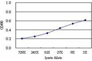 Sandwich ELISA detection sensitivity ranging from approximately 729x to 3x dilution of the SNX12 293T overexpression lysate (non-denatured). (SNX12 (Human) Matched Antibody Pair)