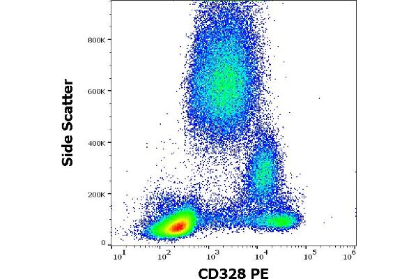 SIGLEC7 antibody  (PE)