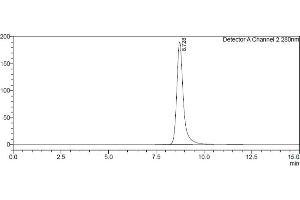 Assessment of protein purity for human Fc gamma RIIa / CD32a (167H) protein by SEC-HPLC. (FCGR2A Protein (AA 36-218) (His-Avi Tag))
