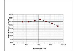 ELISA of anti-Histone H3 K27 me2 antibody ELISA results of Rabbit anti-Histone H3 K27 me2 antibody. (HIST1H3A antibody  (H3K27me2))