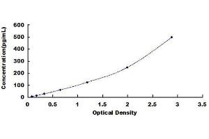 MMP11 ELISA Kit