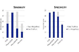 Quantitative real-time PCR (qPCR) image for PhoenixDx® Mycoplasma Mix (ABIN6720774)