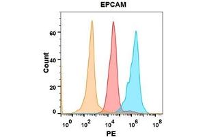 EPCAM protein is highly expressed on the surface of Expi293 cell membrane. (EpCAM antibody  (AA 24-314))