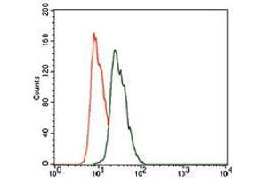 Flow Cytometry (FACS) image for anti-Keratin 5 (KRT5) (AA 316-590) antibody (ABIN1724789)