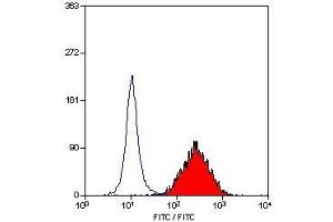 Flow Cytometry (FACS) image for anti-CD83 (CD83) antibody (ABIN2472640) (CD83 antibody)