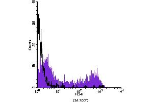 Flow Cytometry (FACS) image for anti-CD8 (CD8) antibody (PE-Cy5) (ABIN2144352) (CD8 antibody  (PE-Cy5))