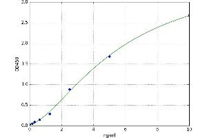 A typical standard curve (S100A1 ELISA Kit)