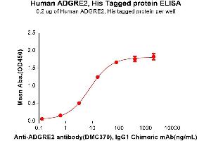 ELISA plate pre-coated by 2 μg/mL (100 μL/well) Human AD Protein, His Tag (ABIN7455467, ABIN7490877 and ABIN7490879) can bind Anti-AD antibody, IgG1 Chimeric mAb in a linear range of 3. (ADGRE2 Protein (AA 24-537) (His tag))
