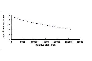 ELISA image for Testosterone CLIA Kit (ABIN4948061) (Testosterone CLIA Kit)