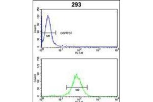 Flow cytometric analysis of 293 cells (bottom histogram) compared to a negative control cell (top histogram). (GNPAT antibody  (C-Term))