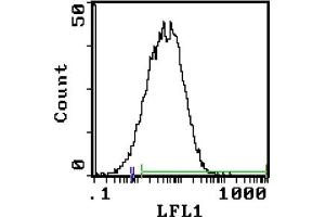 Cell Source: T Cell Blasts - Percentage of cells stained above control:86. (Transferrin Receptor antibody  (Biotin))