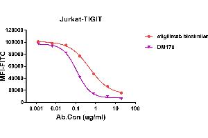 Competition assay demonstrating DM178 blockade of CD155 binding to Jurkat cell line transfected with human TIGIT,and competitive activity is better than etigilimab biosimilar. (TIGIT antibody  (AA 22-141))
