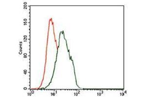 Flow Cytometry (FACS) image for anti-Forkhead Box P1 (FOXP1) (AA 481-677) antibody (ABIN1098120)