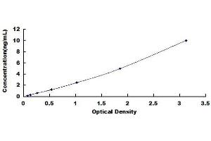 ELISA image for Growth Differentiation Factor 9 (GDF9) ELISA Kit (ABIN1028761) (GDF9 ELISA Kit)