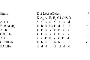 Image no. 1 for anti-MHC Class II I-Ek antibody (FITC) (ABIN114318) (MHC Class II I-Ek antibody  (FITC))