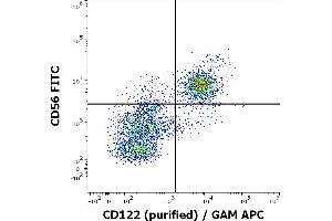 Flow cytometry multicolor surface staining of human CD3 negative lymphocytes stained using anti-human CD122 (TU27) purified antibody (concentration in sample 4 μg/mL, GAM APC) and anti-human CD56 (LT56) PE antibody (10 μL reagent / 100 μL of peripheral whole blood). (IL2 Receptor beta antibody)