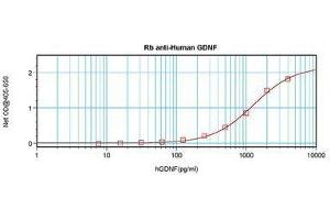 Image no. 1 for anti-Glial Cell Line Derived Neurotrophic Factor (GDNF) antibody (ABIN465721) (GDNF antibody)