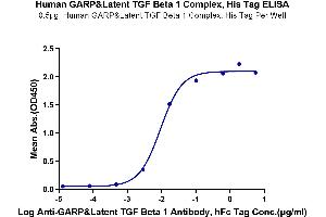 Immobilized Human GARP&Latent TGF Beta 1 Complex at 5 μg/mL (100 μL/Well) on the plate. (GARP & Latent TGF beta 1 Complex (AA 20-628) protein (His-Avi Tag))