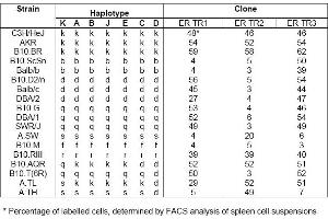 Distribution of ER-TR1, ER-TR2 and ER-TR3 among mouse strains with independent and recombinant haplotypes* (MHC Class II (I-A K,s,r) antibody)