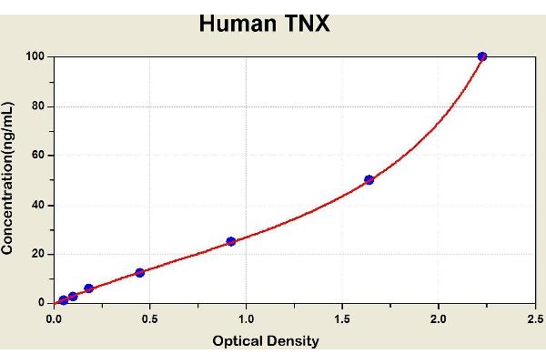 TNXB ELISA Kit