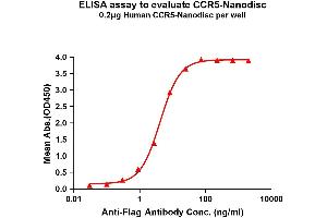 Elisa plates were pre-coated with Flag Tag -Nanodisc (0. (CCR5 Protein)