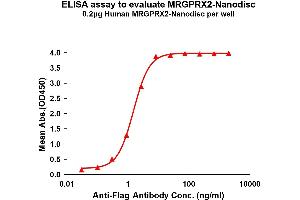 Elisa plates were pre-coated with Flag Tag MRG-Nanodisc (0. (MRGPRX2 Protein)