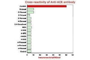 Cross-reactivity of anti-ACR antibody. (ACR-Modified Keyhole-Lympet Hemocyanine antibody)