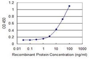 Detection limit for recombinant GST tagged PDIK1L is 0. (PDIK1L antibody  (AA 1-99))