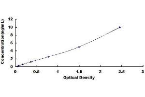 CST3 ELISA Kit