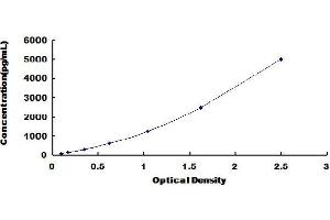 Typical Standard Curve (GDNF ELISA Kit)