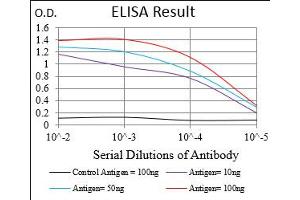 Black line: Control Antigen (100 ng), Purple line: Antigen(10 ng), Blue line: Antigen (50 ng), Red line: Antigen (100 ng), (WT1 antibody  (AA 314-479))